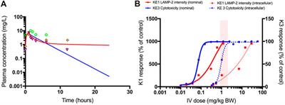 Application of the Adverse Outcome Pathway Concept to In Vitro Nephrotoxicity Assessment: Kidney Injury due to Receptor-Mediated Endocytosis and Lysosomal Overload as a Case Study